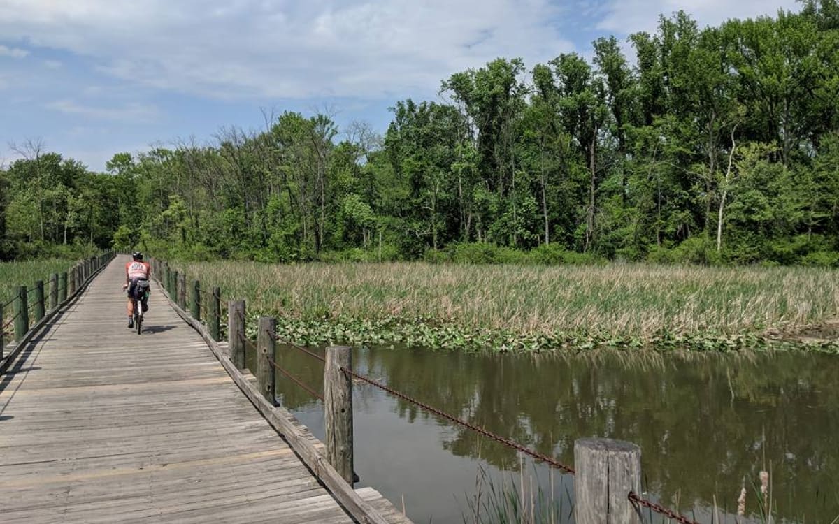 32231516_1686167841458748_2215535386170490880_n