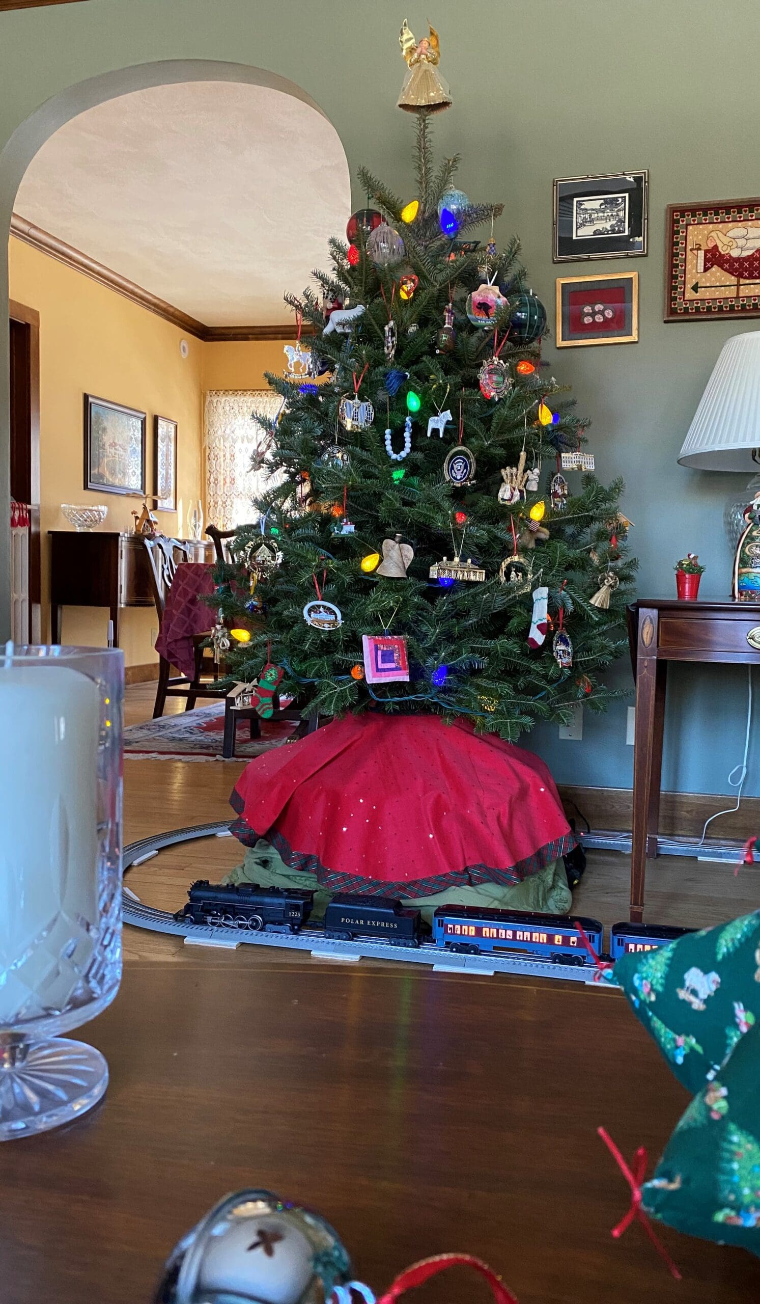 Tailwinds: Alumni Life Milestones and Holiday Cheer!